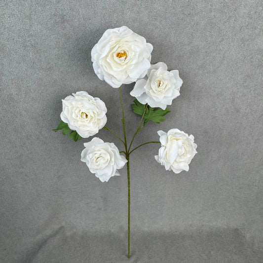 White Silk Princess Peony Bush - 5 Heads RosesHQ.com