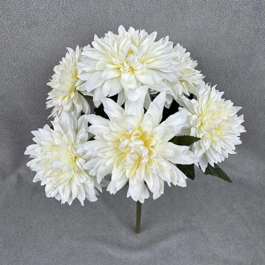 Ivory Silk Dahlia Bush - 7 Heads RosesHQ.com