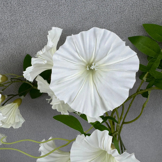 Ivory Silk Morning Glory Spray RosesHQ.com