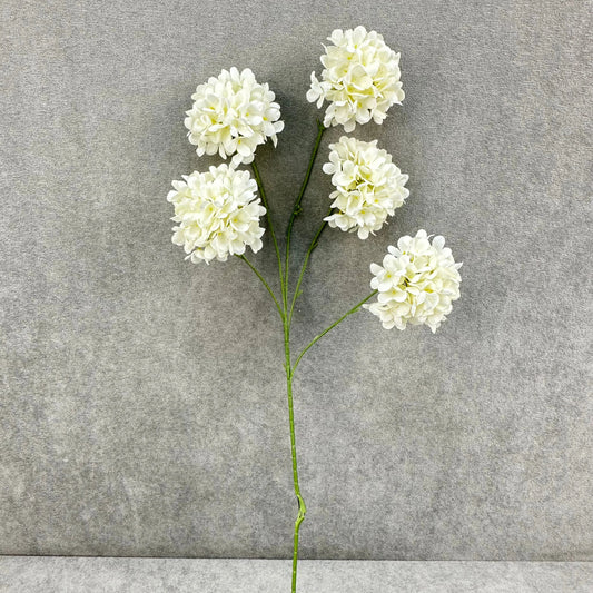 Ivory Silk Candy Hydrangea Bush - 5 Heads RosesHQ.com