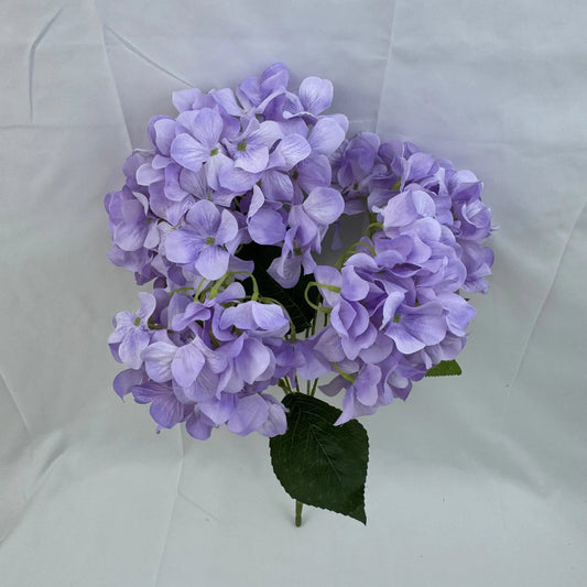 Lavender Silk Bulgarian Hydrangea Bush - 5 Heads RosesHQ.com