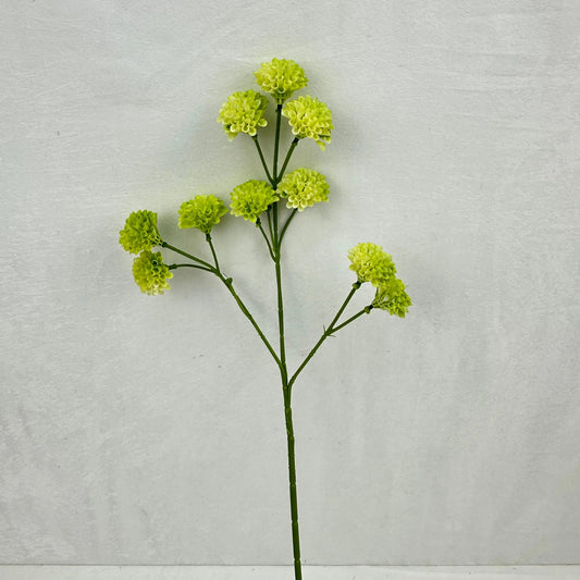 Green Small Honeycomb Spray - 10 Heads RosesHQ.com