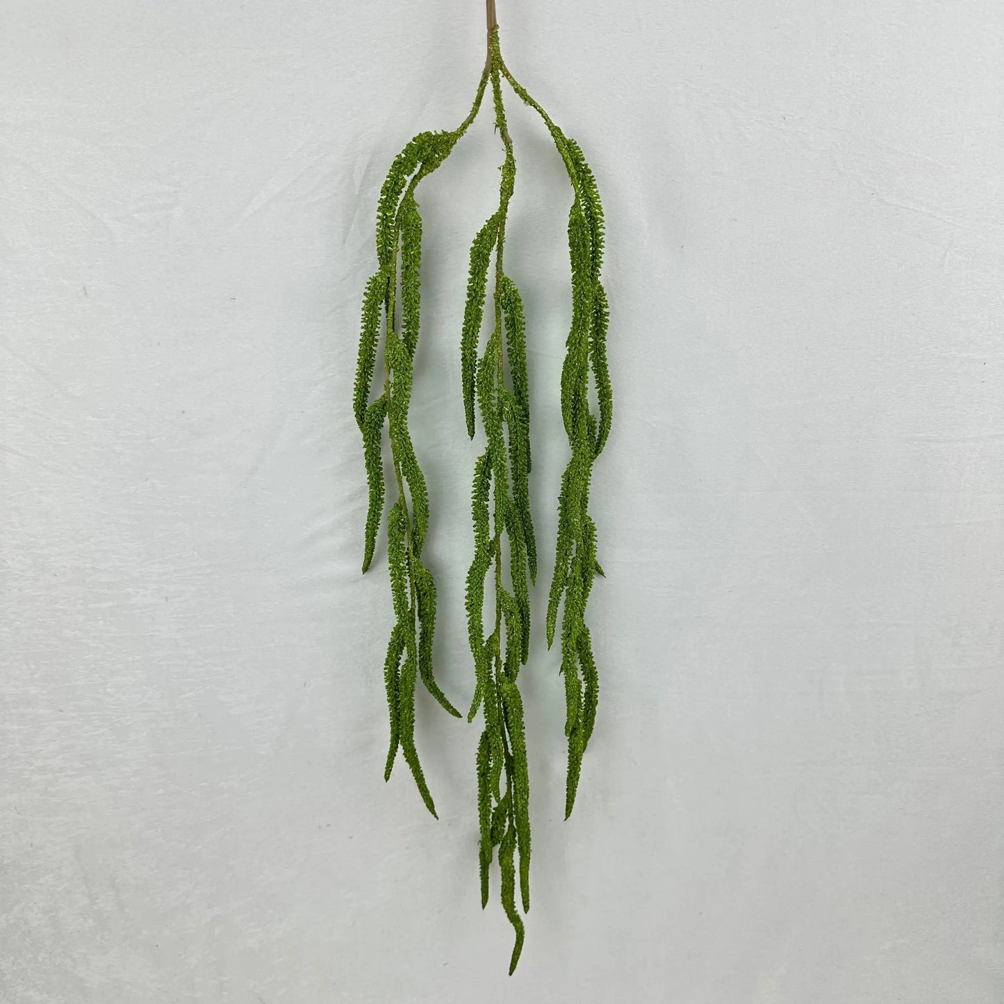 Green Silk Amaranthus Stem RosesHQ.com