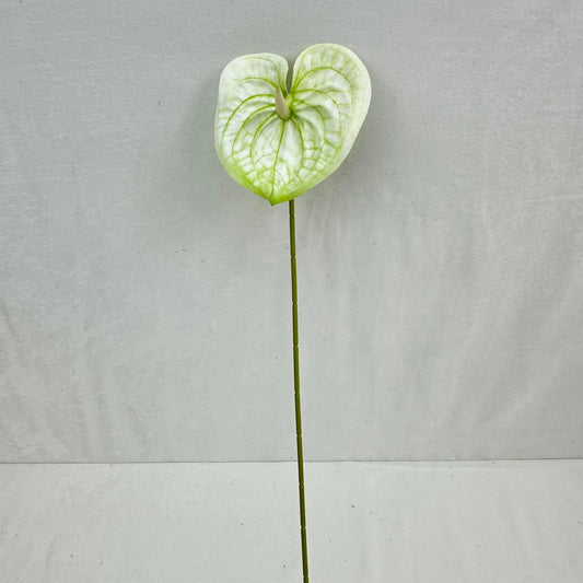 White Real Touch Anthurium Stem RosesHQ.com