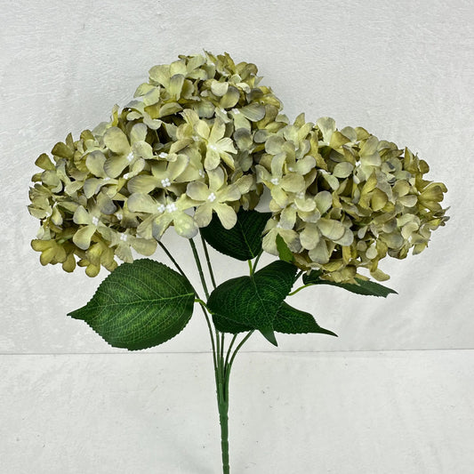 Green Silk GJ Hydrangea Bush - 5 Heads RosesHQ.com