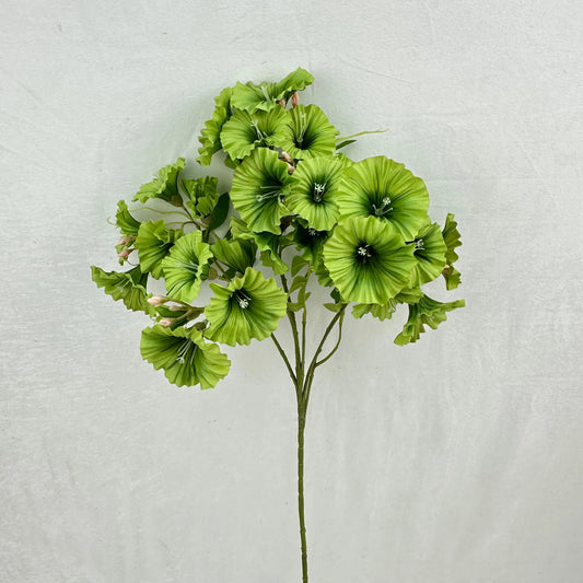 Green Silk Morning Glory Spray RosesHQ.com