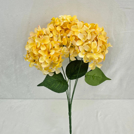 Yellow Silk GJ Hydrangea Bush - 5 Heads RosesHQ.com