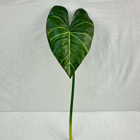 Green Silk Taro Heart Leaf RosesHQ.com