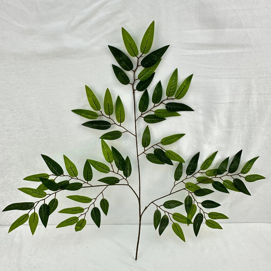 Green Silk Italian Ruscus Leaf 12 Pack RosesHQ.com
