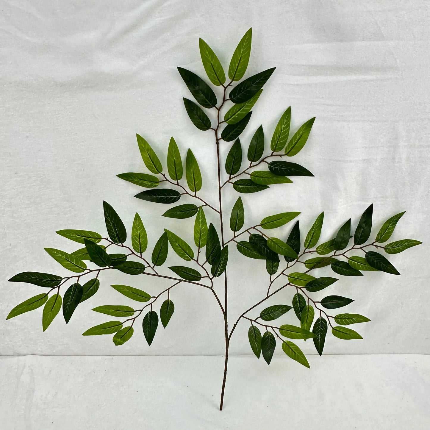 Green Silk Italian Ruscus Leaf 12 Pack RosesHQ.com