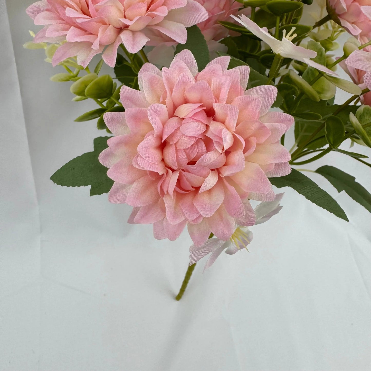 Pink Silk Dahlia Bush - 7 Heads RosesHQ.com