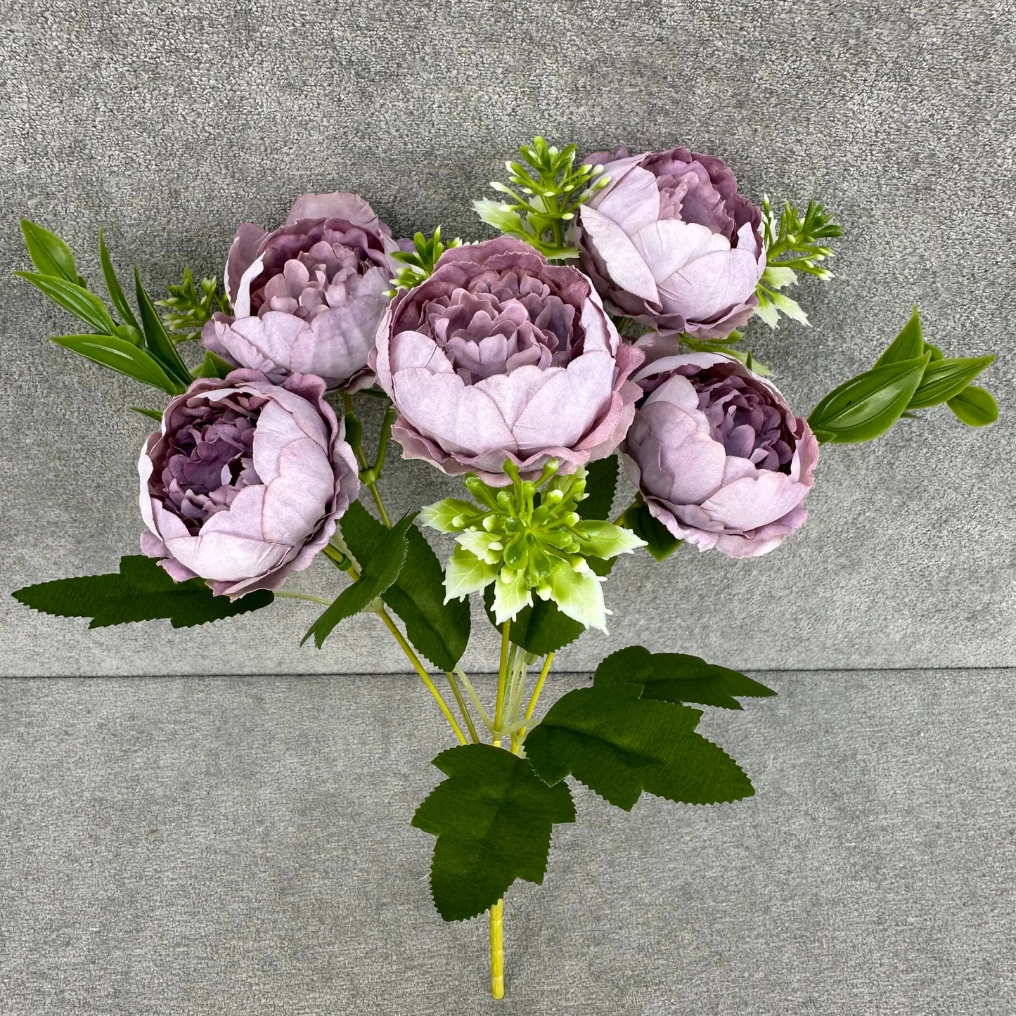Lavender Silk Round Peony Bush - 5 Heads RosesHQ.com