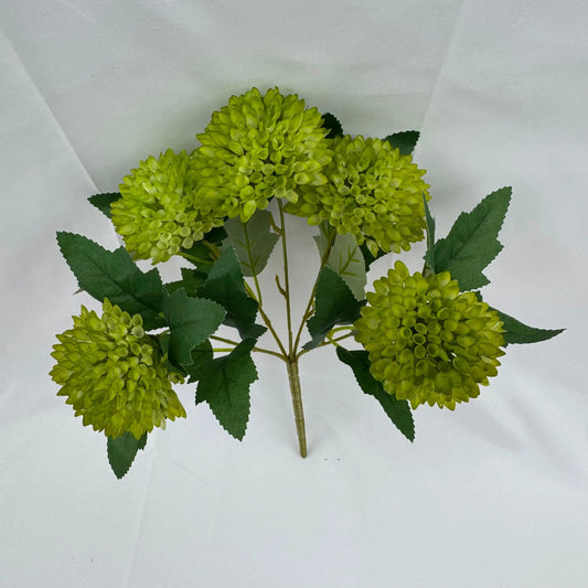 Green Honeycomb Ball Bush - 5 Heads RosesHQ.com