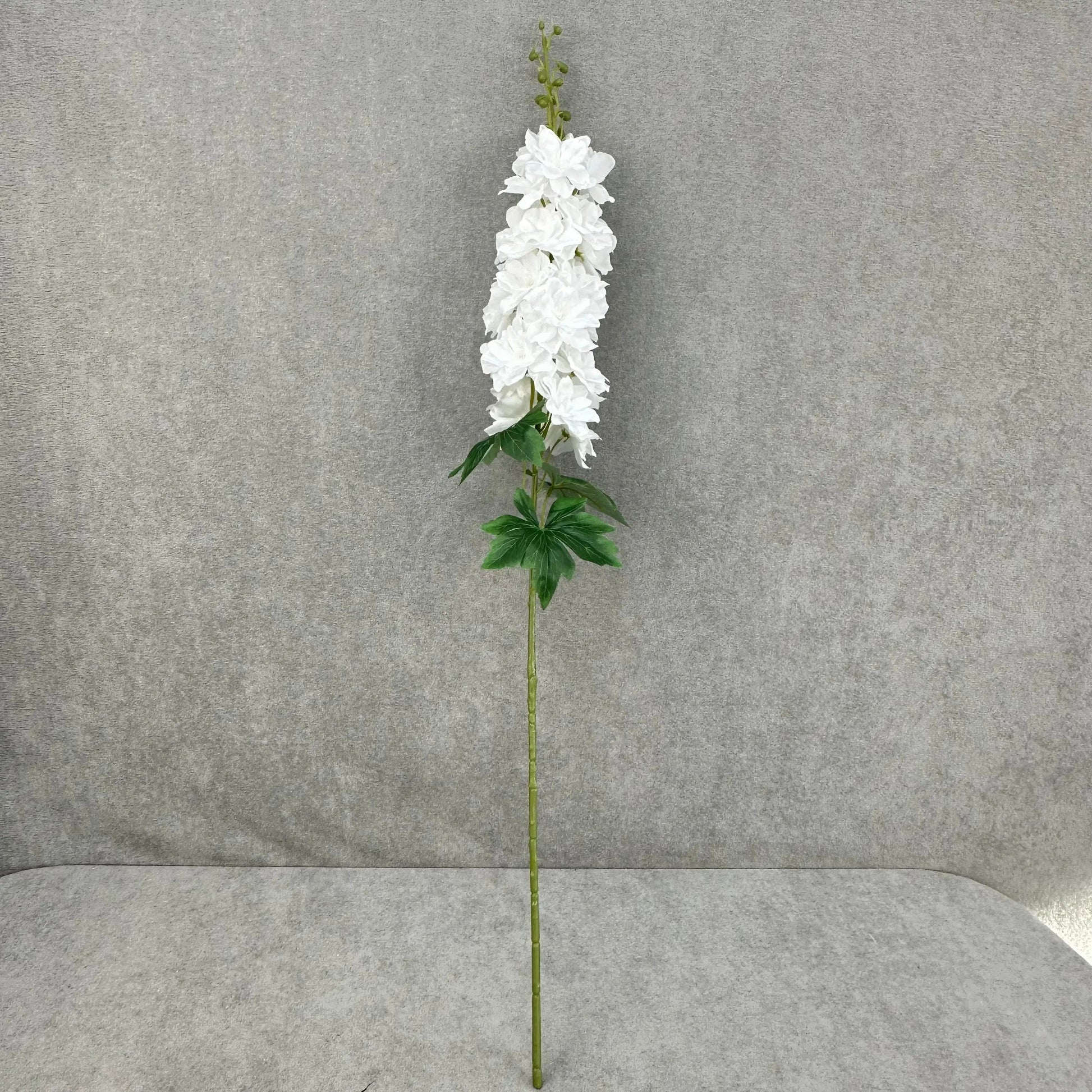 White Silk Spring Larkspur Stem RosesHQ.com