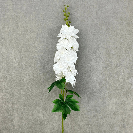 White Silk Spring Larkspur Stem RosesHQ.com