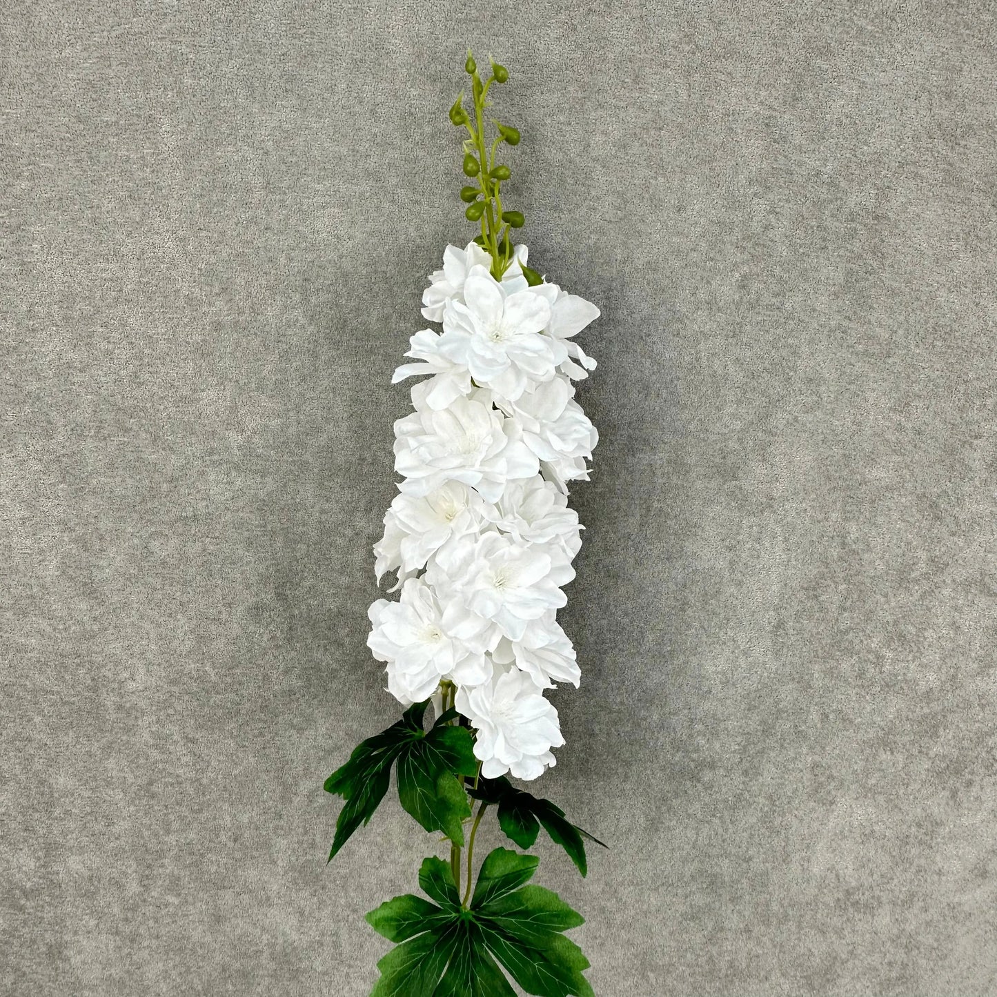 White Silk Spring Larkspur Stem RosesHQ.com