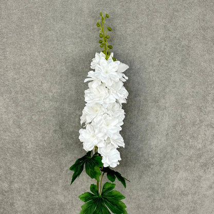 White Silk Spring Larkspur Stem RosesHQ.com