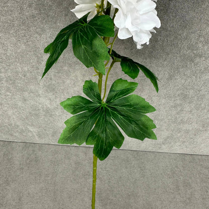 White Silk Spring Larkspur Stem RosesHQ.com