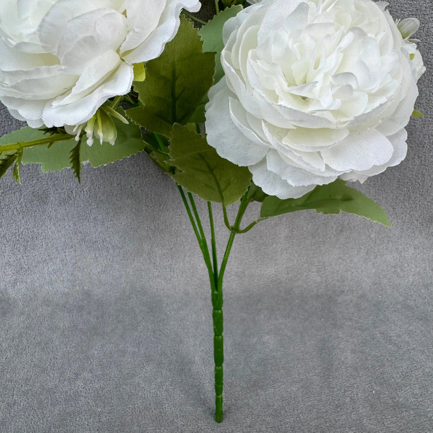 White Silk Peony Bush - 5 Heads RosesHQ.com