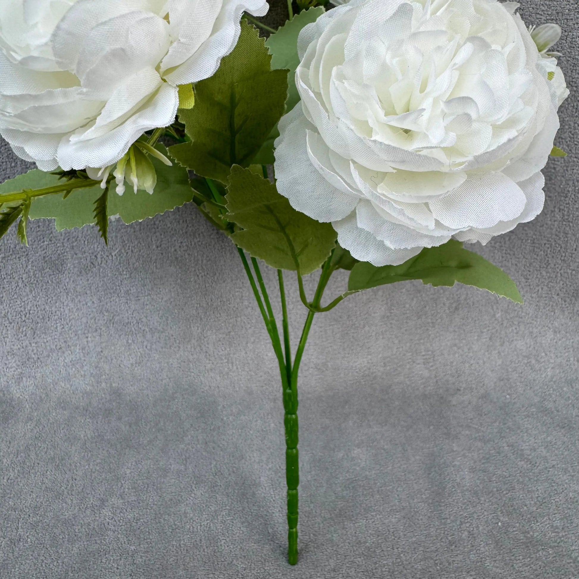 White Silk Peony Bush - 5 Heads RosesHQ.com