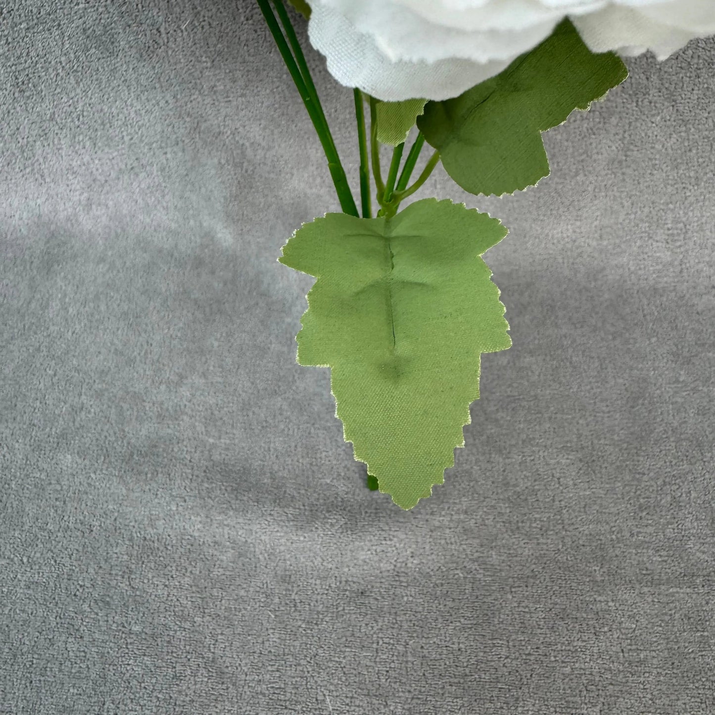 White Silk Peony Bush - 5 Heads RosesHQ.com