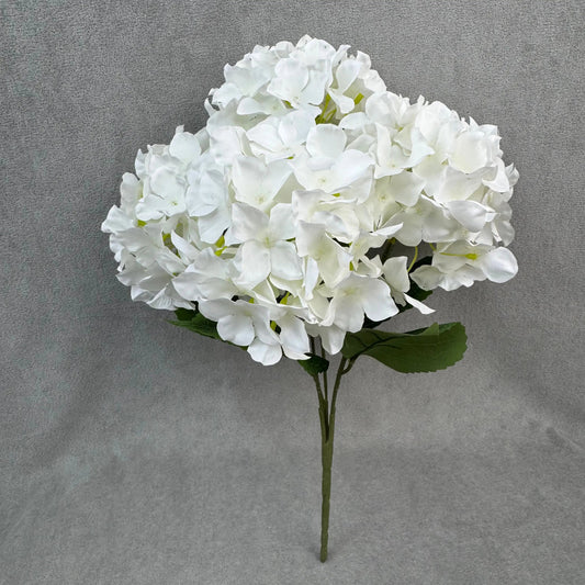 White Silk Bulgarian Hydrangea Bush - 5 Heads RosesHQ.com