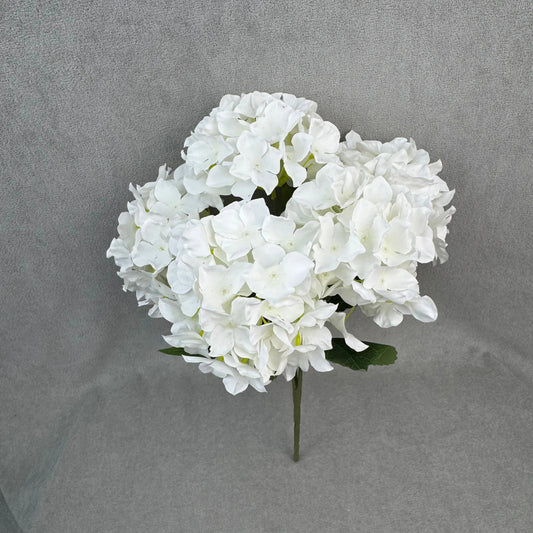 White Silk Bulgarian Hydrangea Bush - 5 Heads RosesHQ.com
