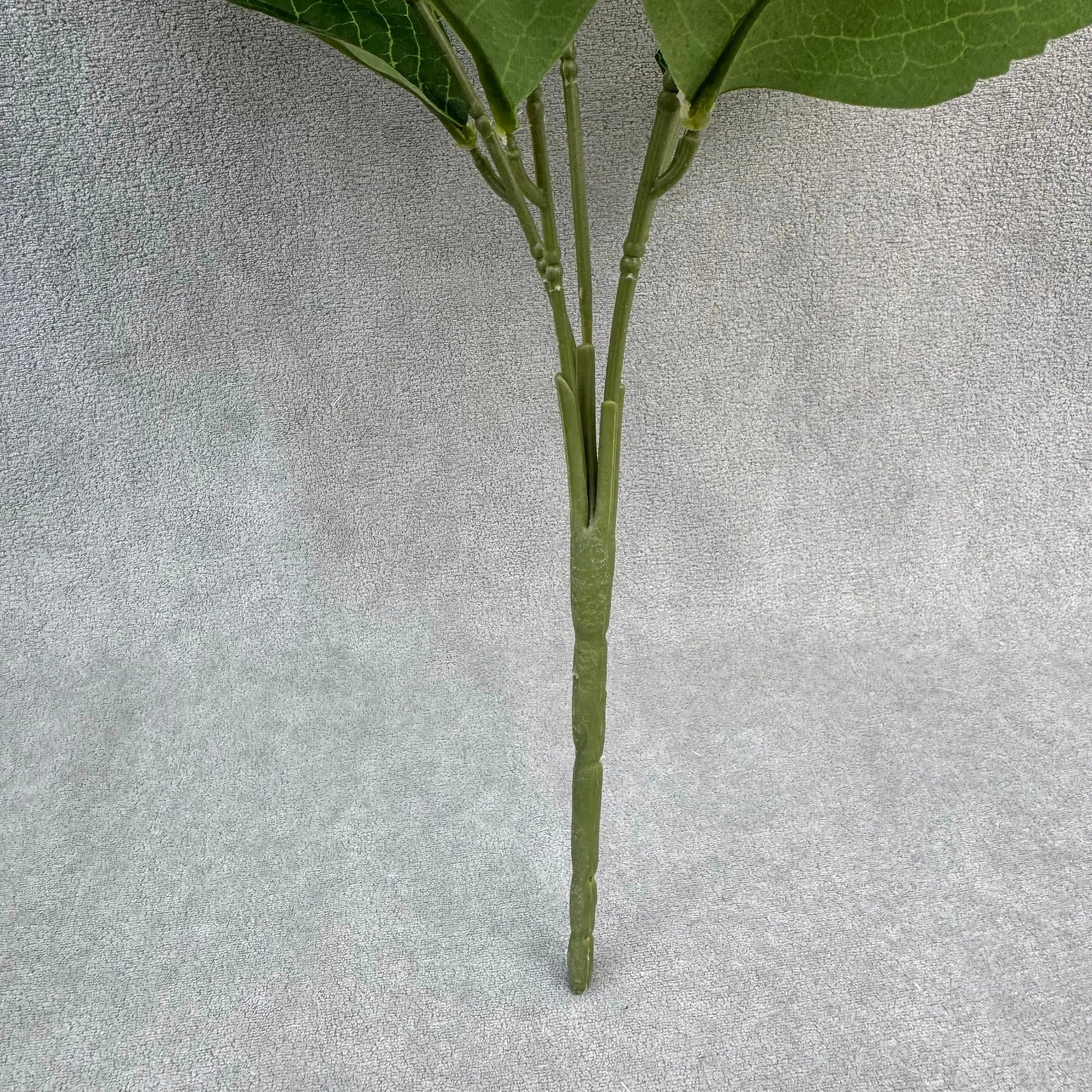 White Silk Amaranthus Stem RosesHQ.com