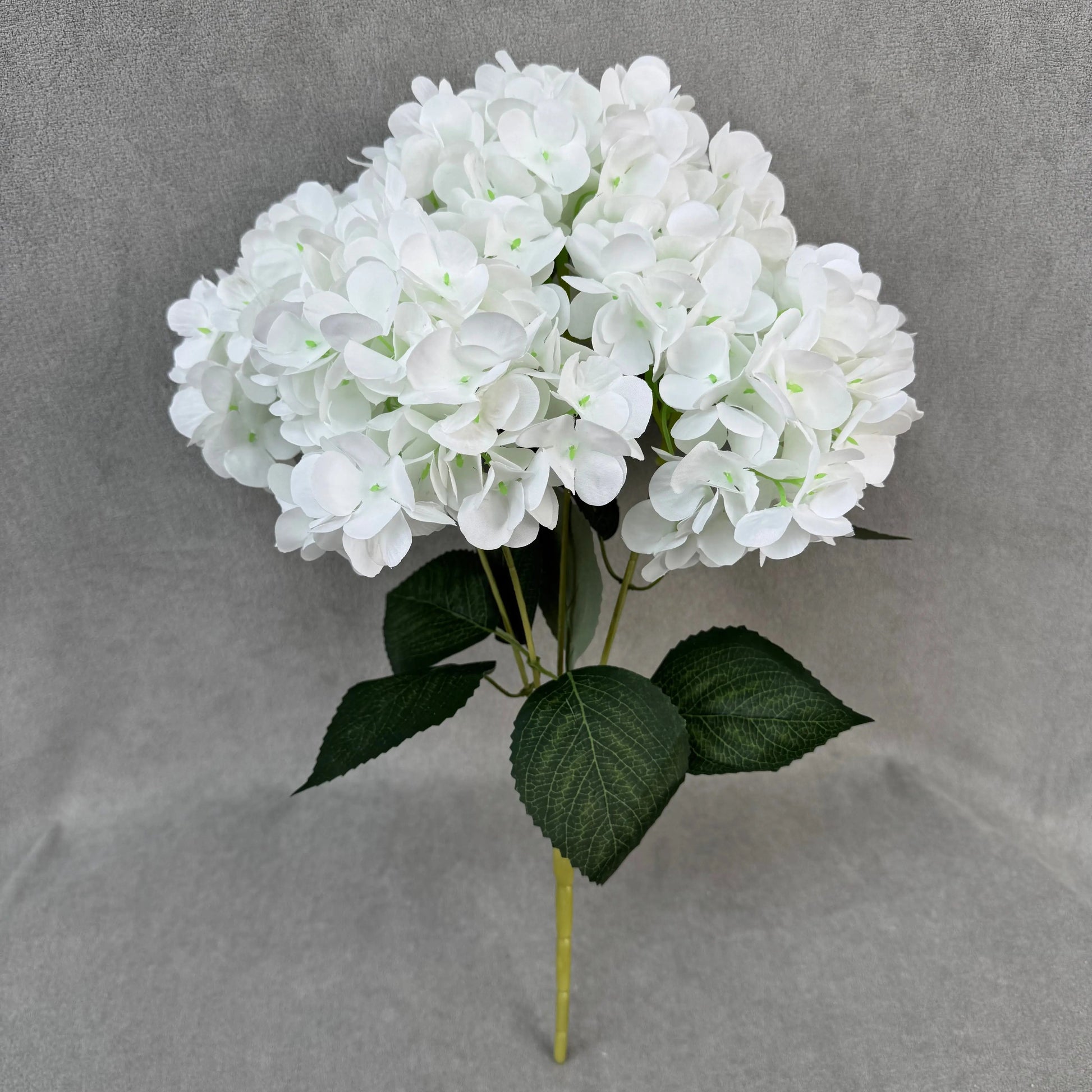 White Silk French Hydrangea Bush - 5 Heads RosesHQ.com