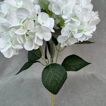 White Silk French Hydrangea Bush - 5 Heads RosesHQ.com