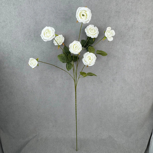 White Silk Empress Rose Bush - 8 Heads RosesHQ.com