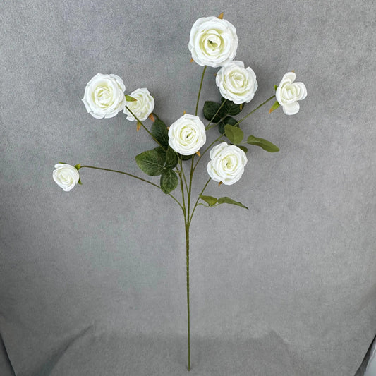 White Silk Empress Rose Bush - 8 Heads RosesHQ.com