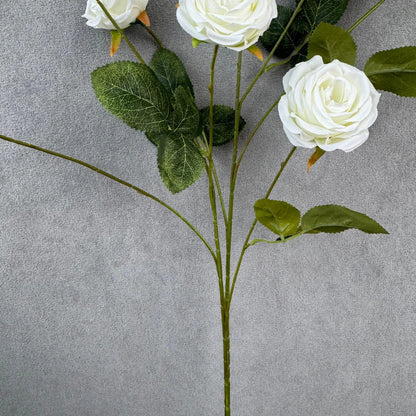 White Silk Empress Rose Bush - 8 Heads RosesHQ.com