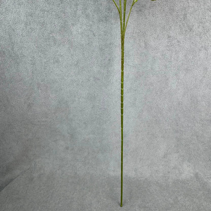 White Silk Empress Rose Bush - 8 Heads RosesHQ.com