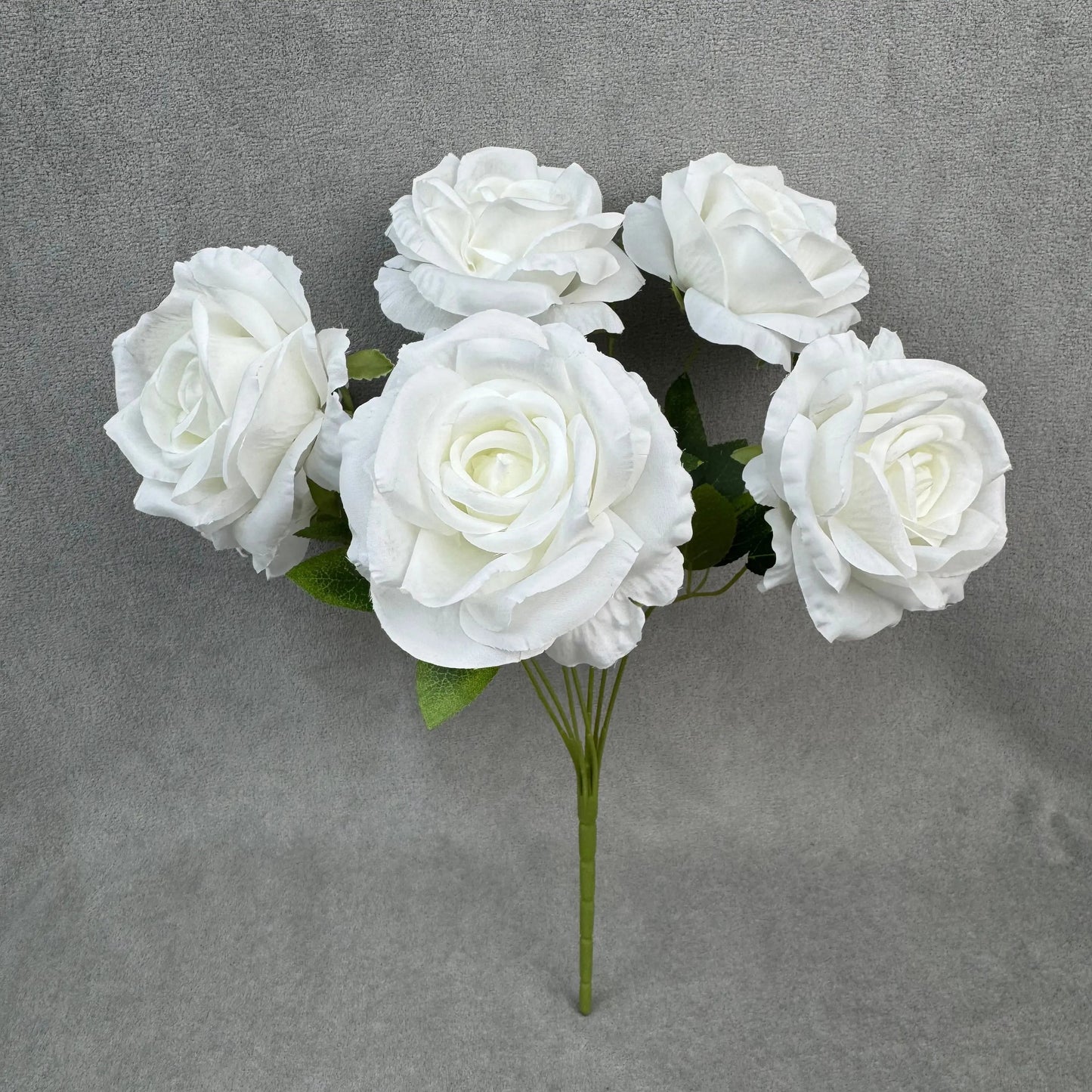 White Silk Star Moon Rose Bush - 7 Heads RosesHQ.com