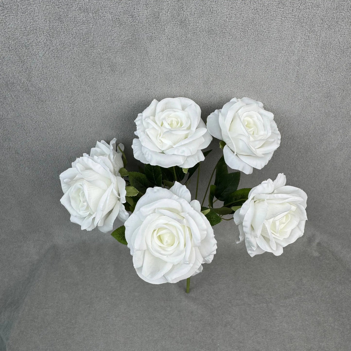 White Silk Star Moon Rose Bush - 7 Heads RosesHQ.com
