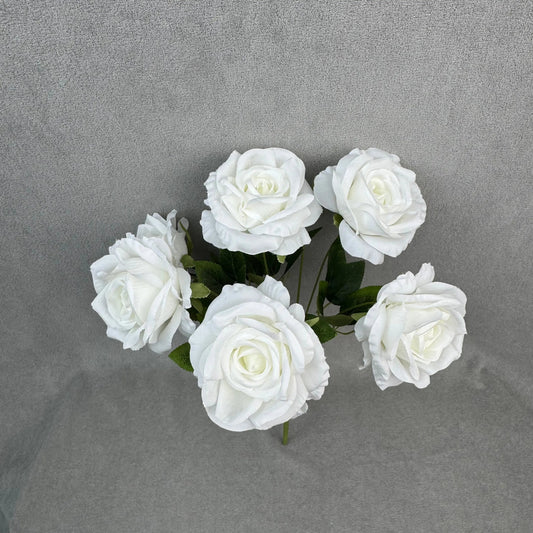 White Silk Star Moon Rose Bush - 7 Heads RosesHQ.com
