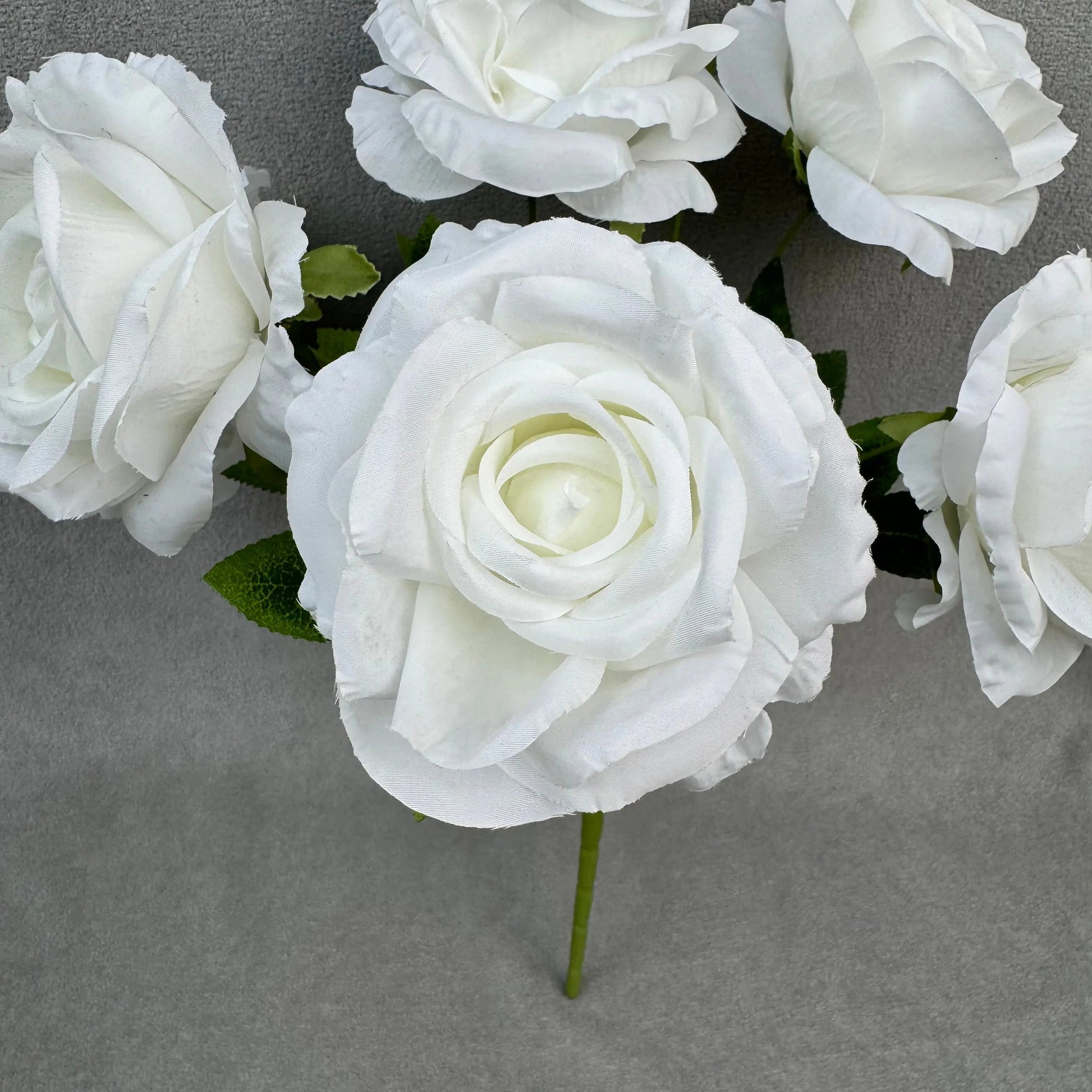 White Silk Star Moon Rose Bush - 7 Heads RosesHQ.com