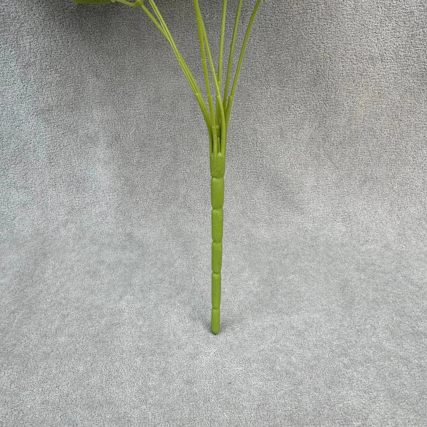 White Silk Star Moon Rose Bush - 7 Heads RosesHQ.com