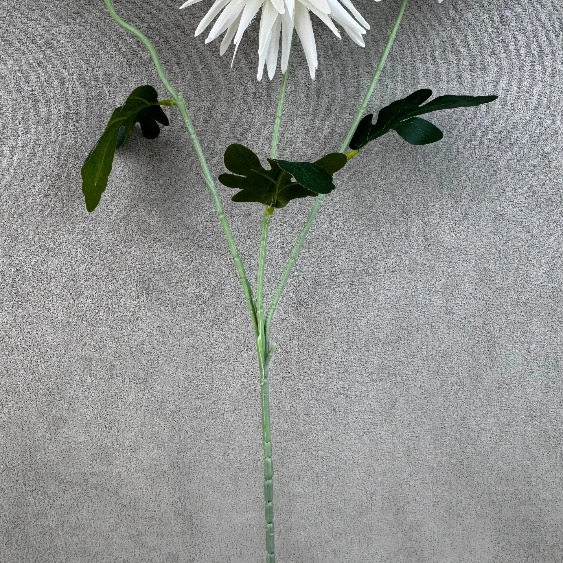 White Silk Flame Chrysanthemum Spray - 3 Heads RosesHQ.com