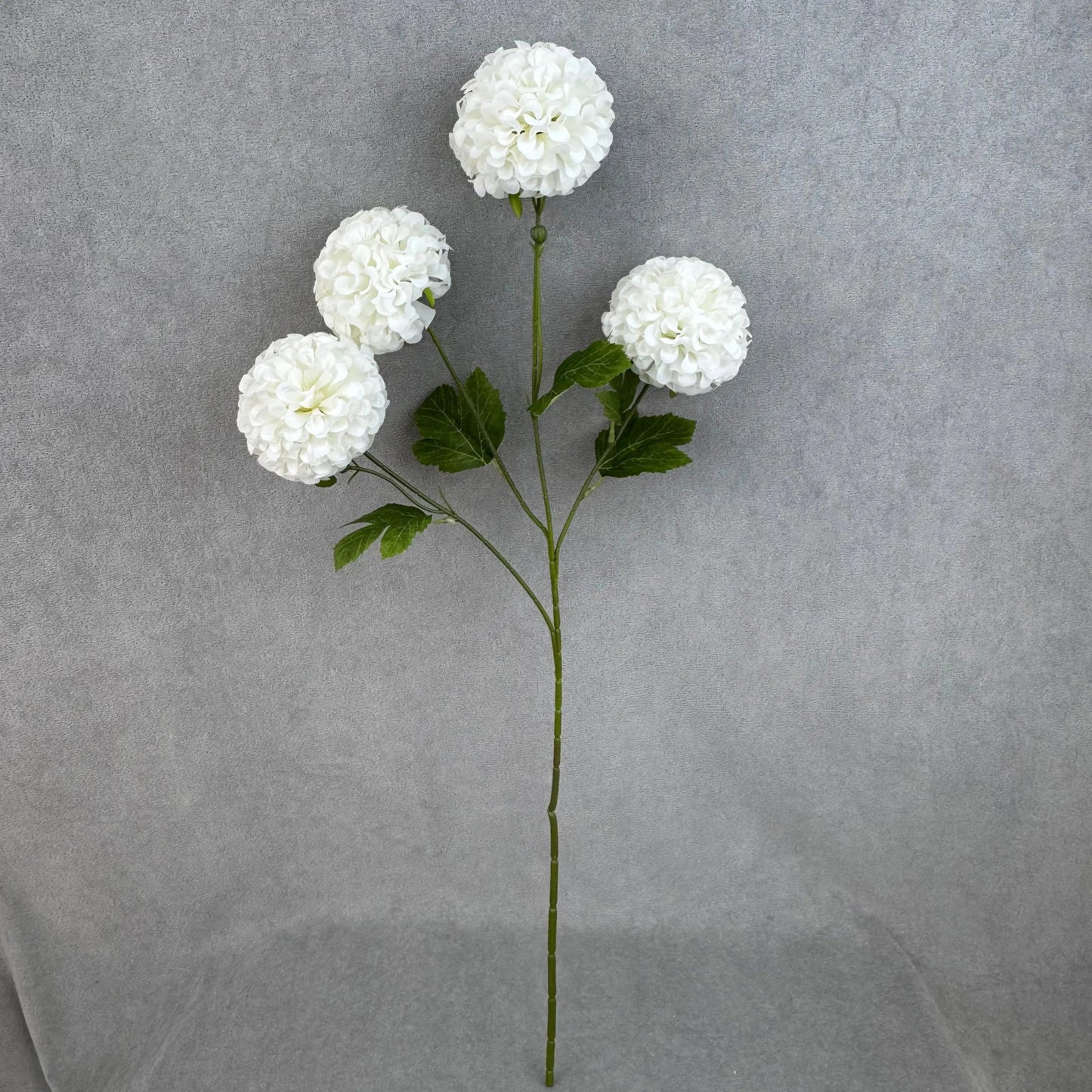 White Silk Hibiscus Ball Bush - 4 Heads RosesHQ.com