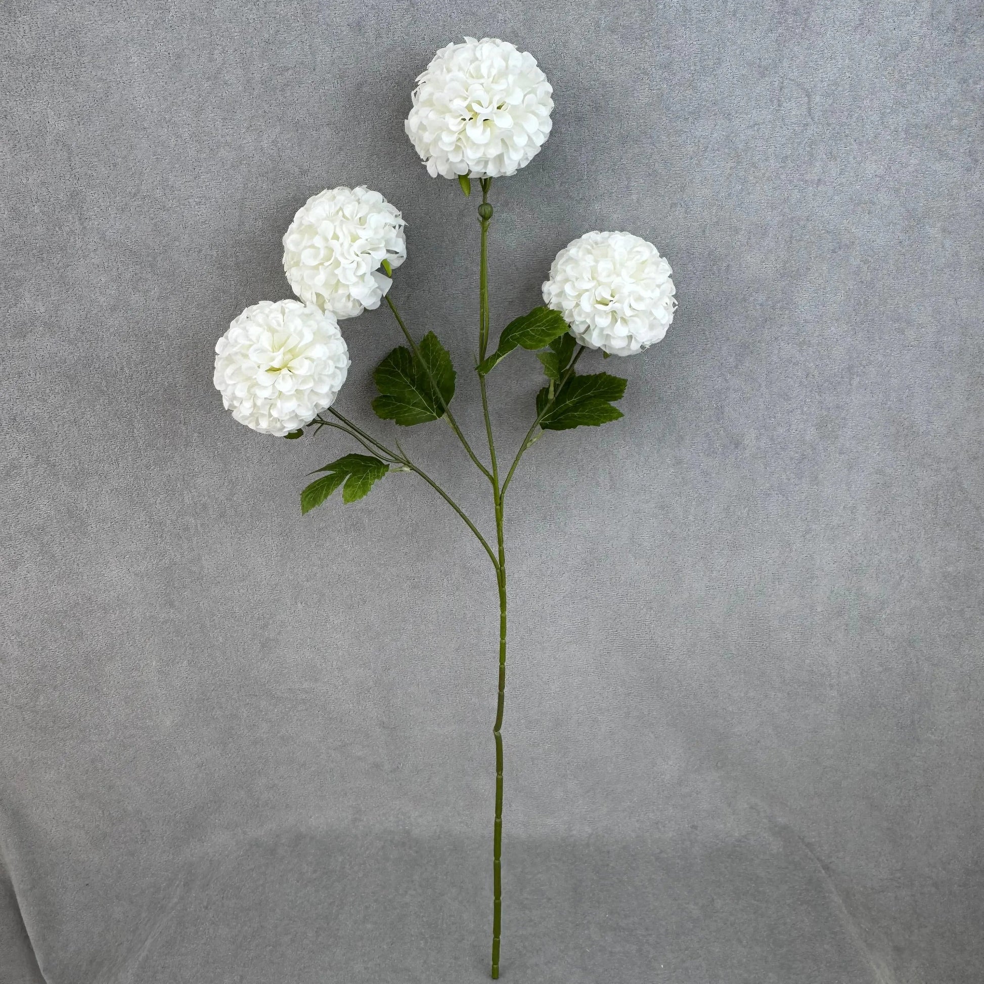 White Silk Hibiscus Ball Bush - 4 Heads RosesHQ.com