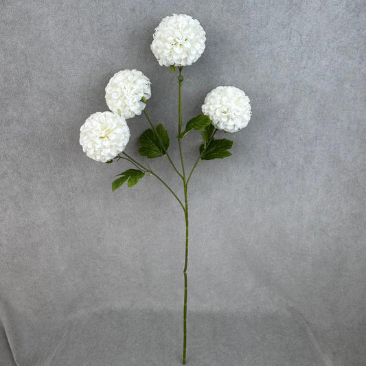 White Silk Hibiscus Ball Bush - 4 Heads RosesHQ.com