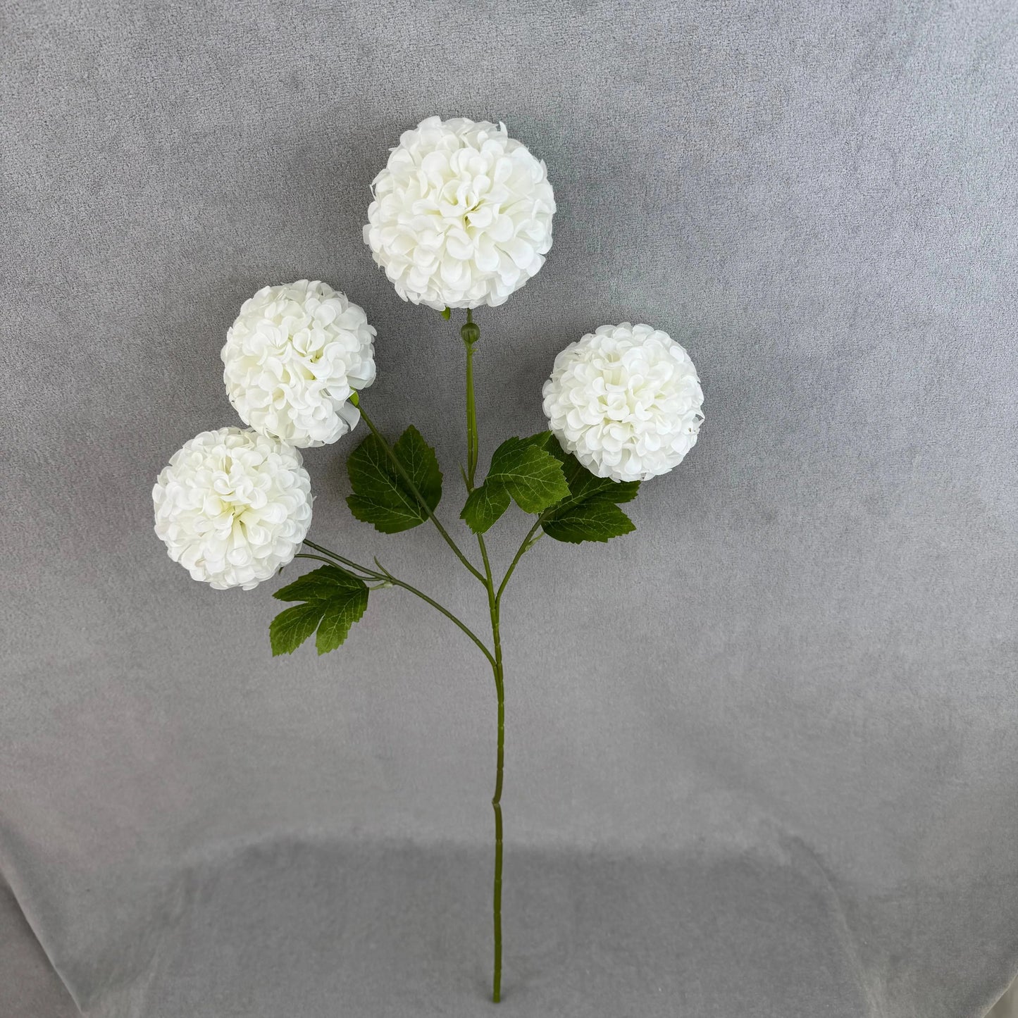 White Silk Hibiscus Ball Bush - 4 Heads RosesHQ.com