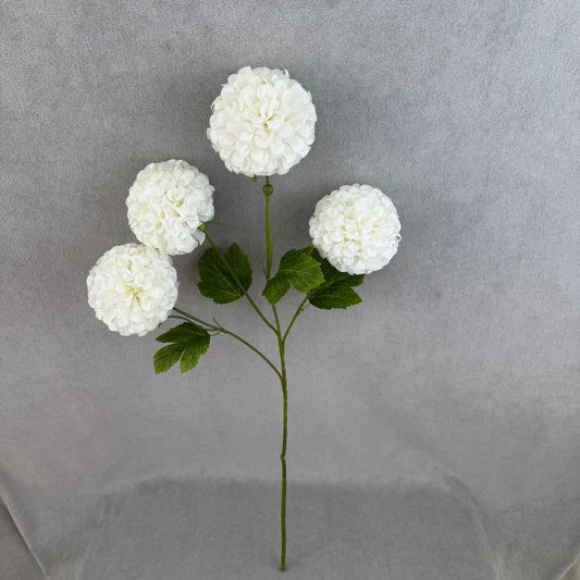 White Silk Hibiscus Ball Bush - 4 Heads RosesHQ.com