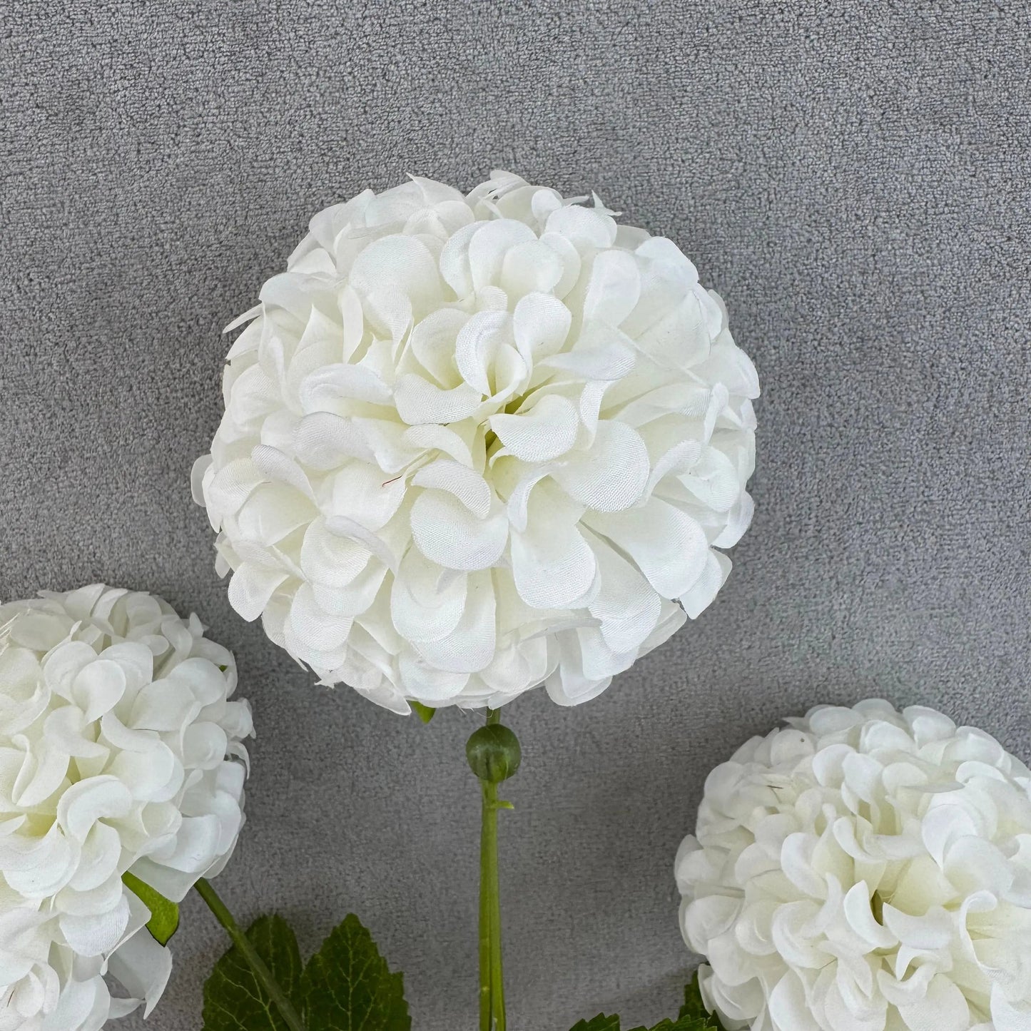 White Silk Hibiscus Ball Bush - 4 Heads RosesHQ.com