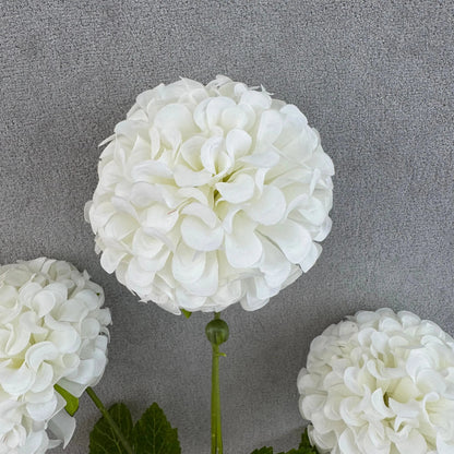 White Silk Hibiscus Ball Bush - 4 Heads RosesHQ.com