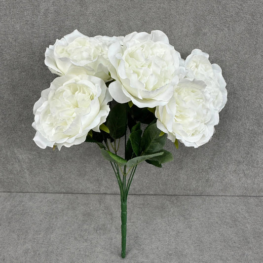 White Silk Austin Rose Bush - 7 Heads RosesHQ.com