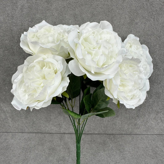 White Silk Austin Rose Bush - 7 Heads RosesHQ.com