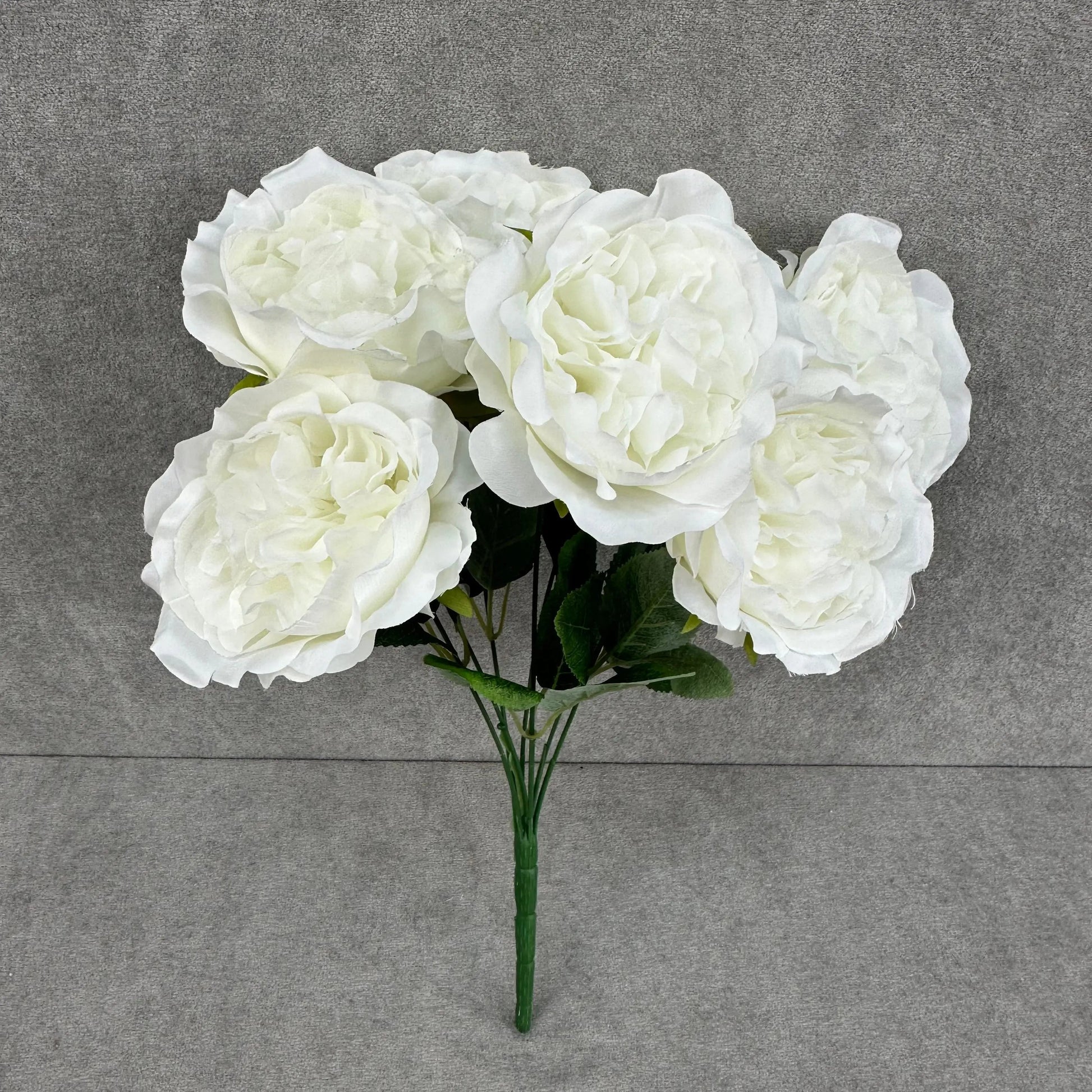 White Silk Austin Rose Bush - 7 Heads RosesHQ.com